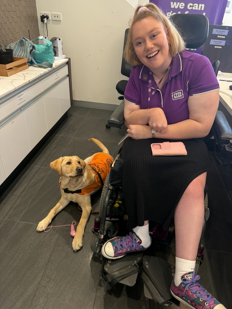 Paris enjoying a visit at work from a guide dog in training.